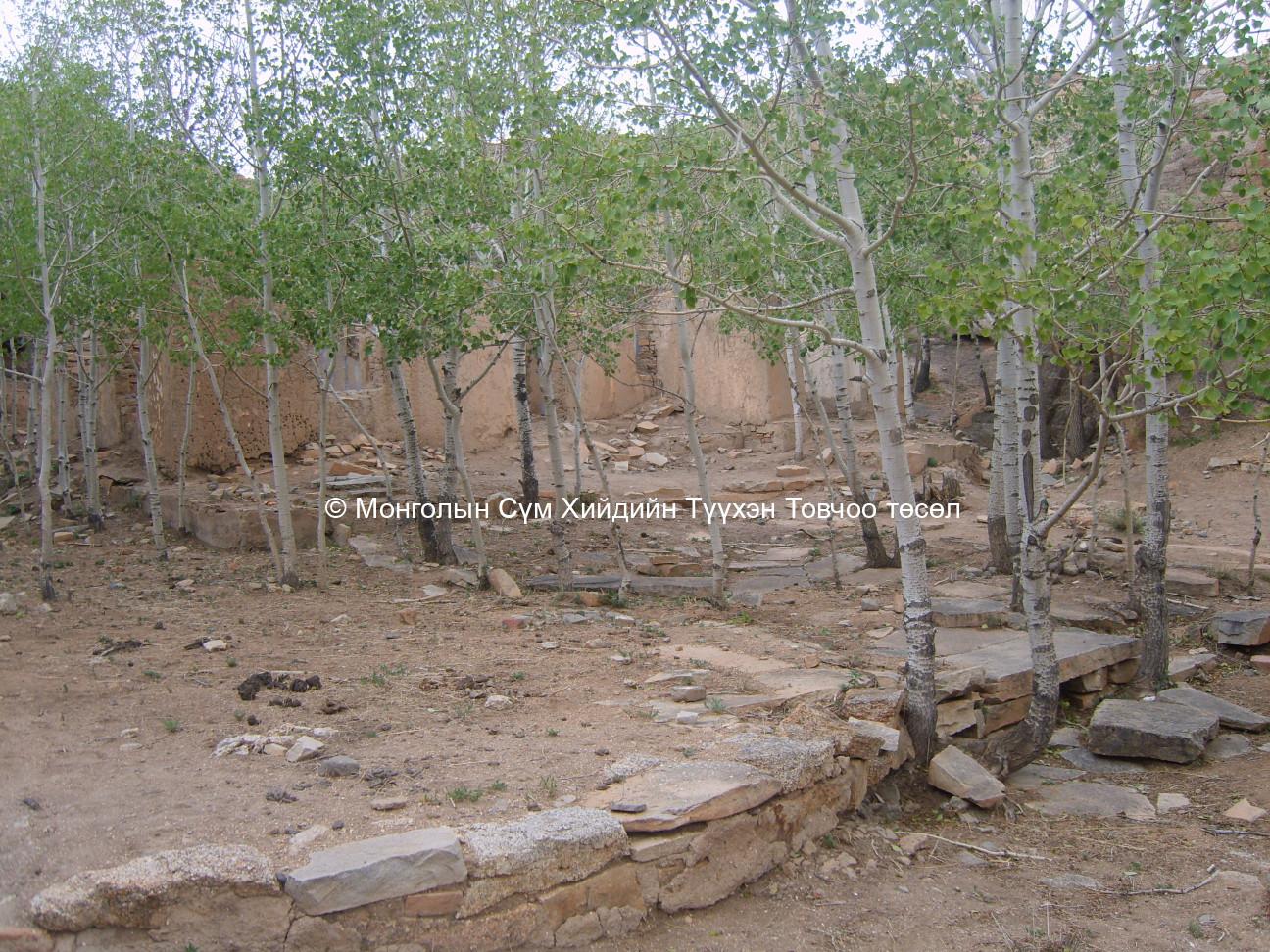 Ярилцлага өгсөн хүний зураг 